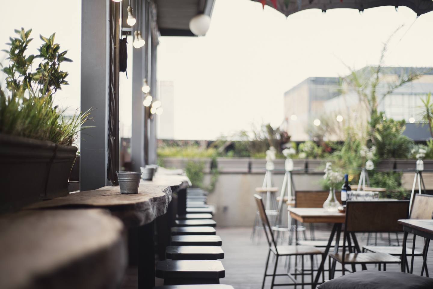 Rooftop lounge with wooden tables and greenery