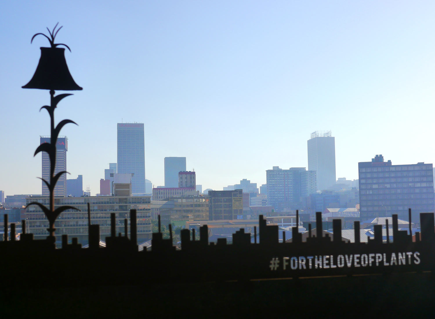 Silhouette of plants against Johannesburg skyline