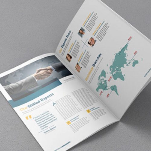 Open corporate brochure with team and global map information.