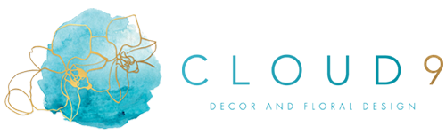 Cloud 9 Events logo