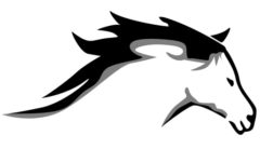 Home logo