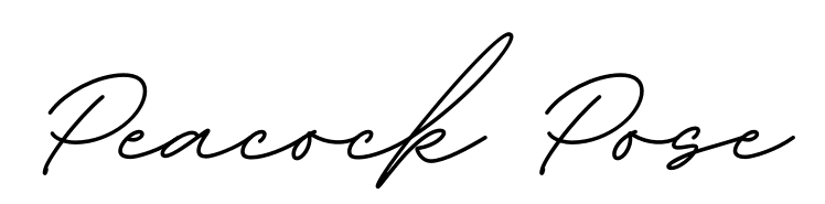 Home logo