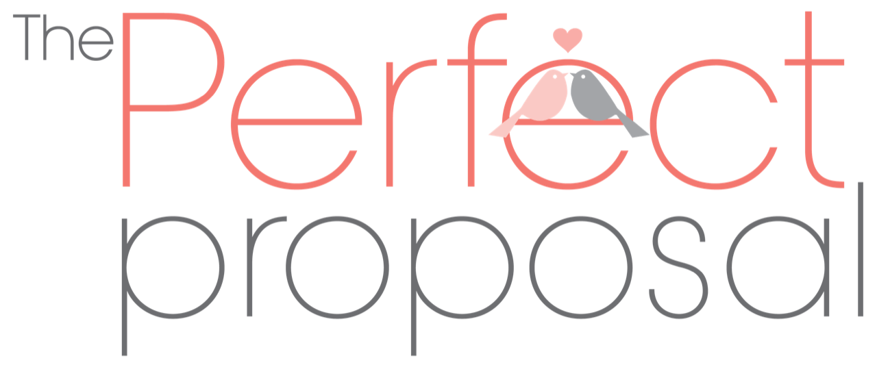 The Perfect Proposal logo